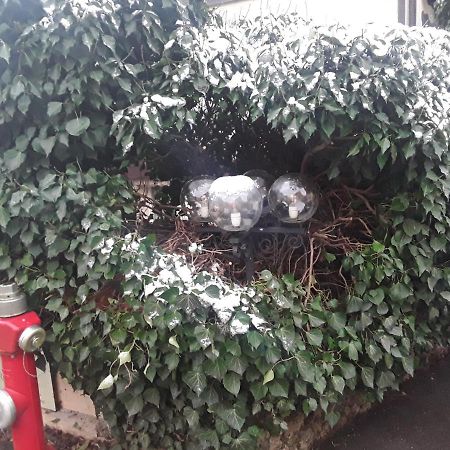 Hotel Feiler Muggendorf  Zewnętrze zdjęcie