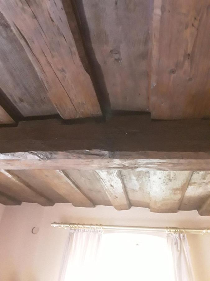 Hotel Feiler Muggendorf  Zewnętrze zdjęcie